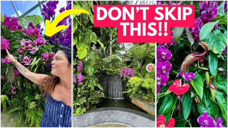 Discovering my FAVORITE place in Singapore! Gardens by the Bay 2025