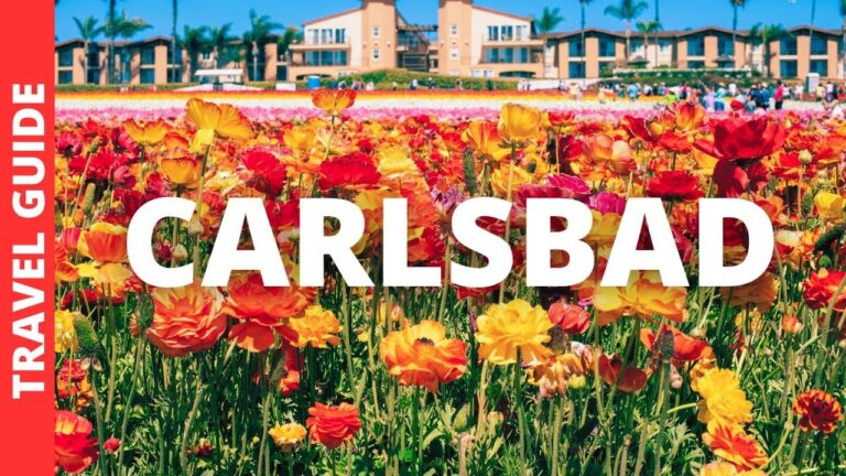 Carlsbad California Travel Guide: 22 BEST Things To Do In Carlsbad CA