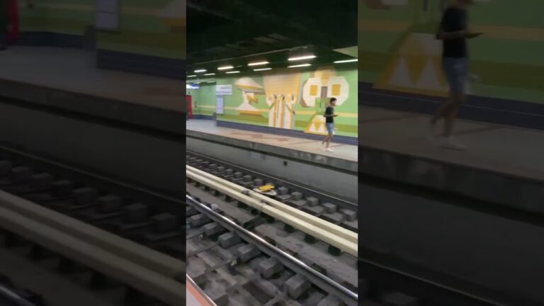 Cairo Metro station #travel #metro #shortvideo #flights