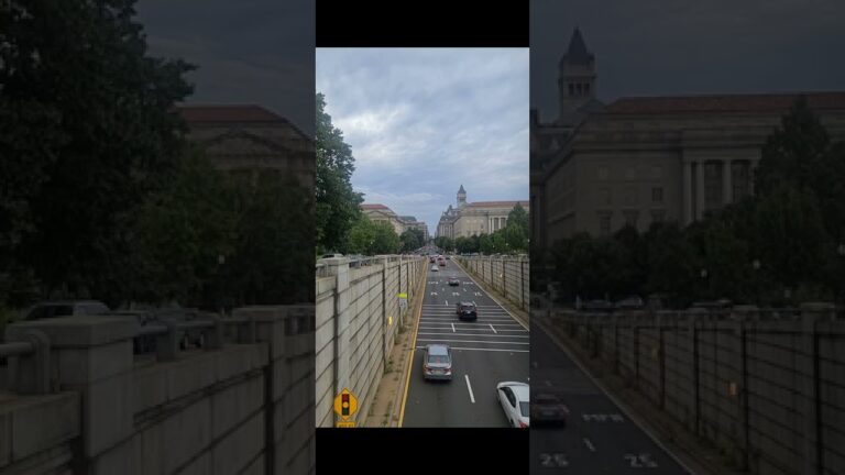 Busy Street at Washington DC
