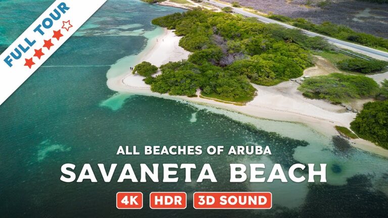 Savaneta Beach, Aruba — Beach Walking Videos of ALL Beaches of Aruba (4K, HDR, 3D Sound)
