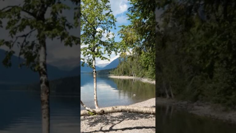 Best Things To Do in Glacier National Park for Non-Hikers No.9 #glacier #glaciernationalpark