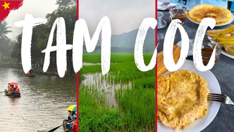 Tam Coc Vietnam Travel Guide | Rowing Boats, Homestays & Food