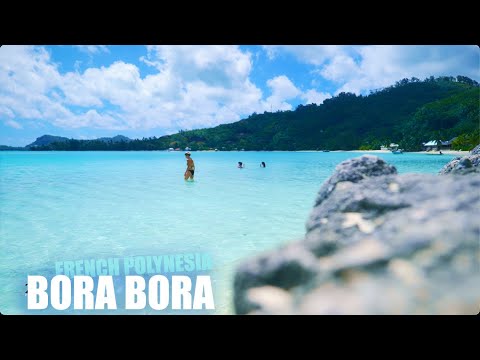 The Clearest Ocean Water You Will Ever See: Matira Beach, Bora Bora (4K Ambience)