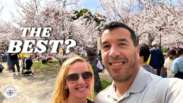 Kyoto Cherry Blossoms: Is Maruyama Park the Best Sakura Spot?